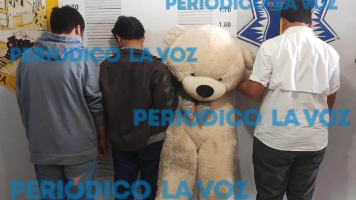Secuestran a Ted; Por robarse un peluchote, tres menores desataron una persecución Secuestran a Ted; Por robarse un peluchote, tres menores desataron una persecución