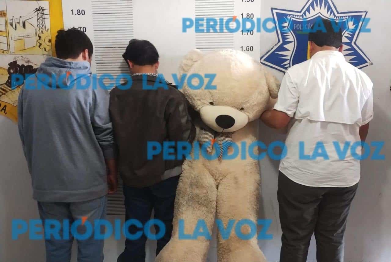 Secuestran a Ted; Por robarse un peluchote, tres menores desataron una persecución