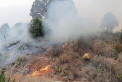 Consumió incendio 25 hectáreas