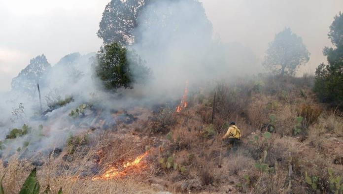 Consumió incendio 25 hectáreas