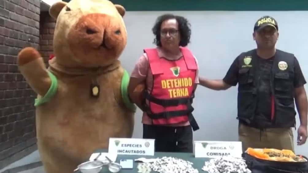 La Policía de Perú sorprende al capturar a un narcotraficante con una botarga de capibara
