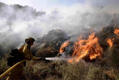 Prevén año con alta cifra de incendios