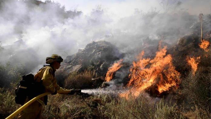 Prevén año con alta cifra de incendios