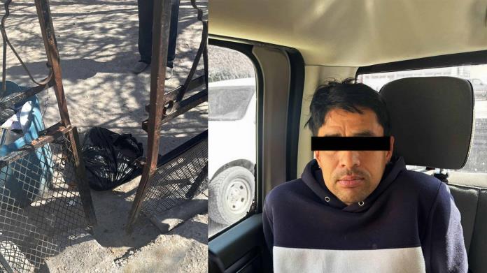Matan a golpes a perro en Piedras Negras; responsable es detenido Matan a golpes a perro en Piedras Negras; responsable es detenido