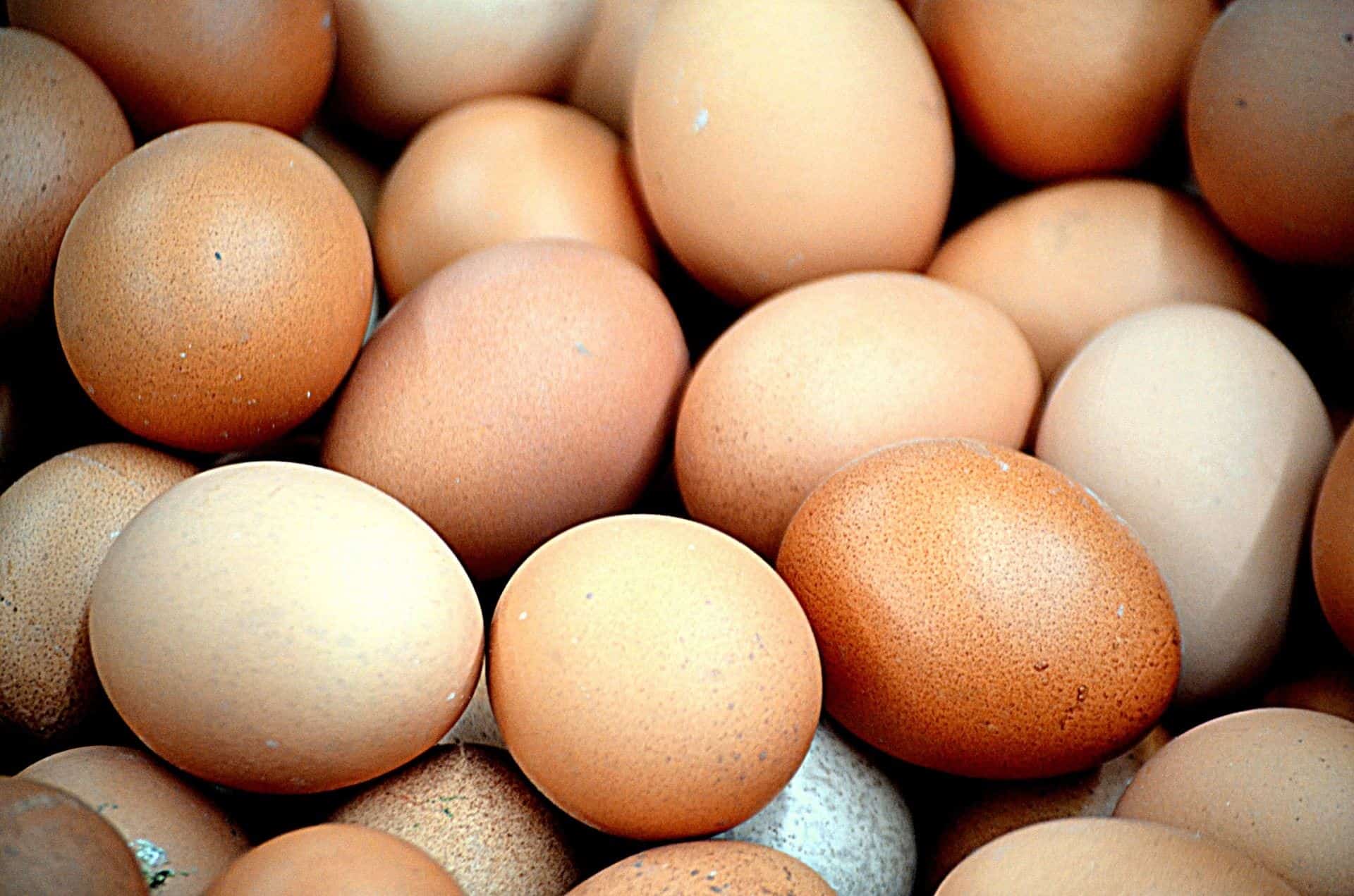 Pese a crisis de huevos; EU despide funcionarios que frenaban gripe aviar