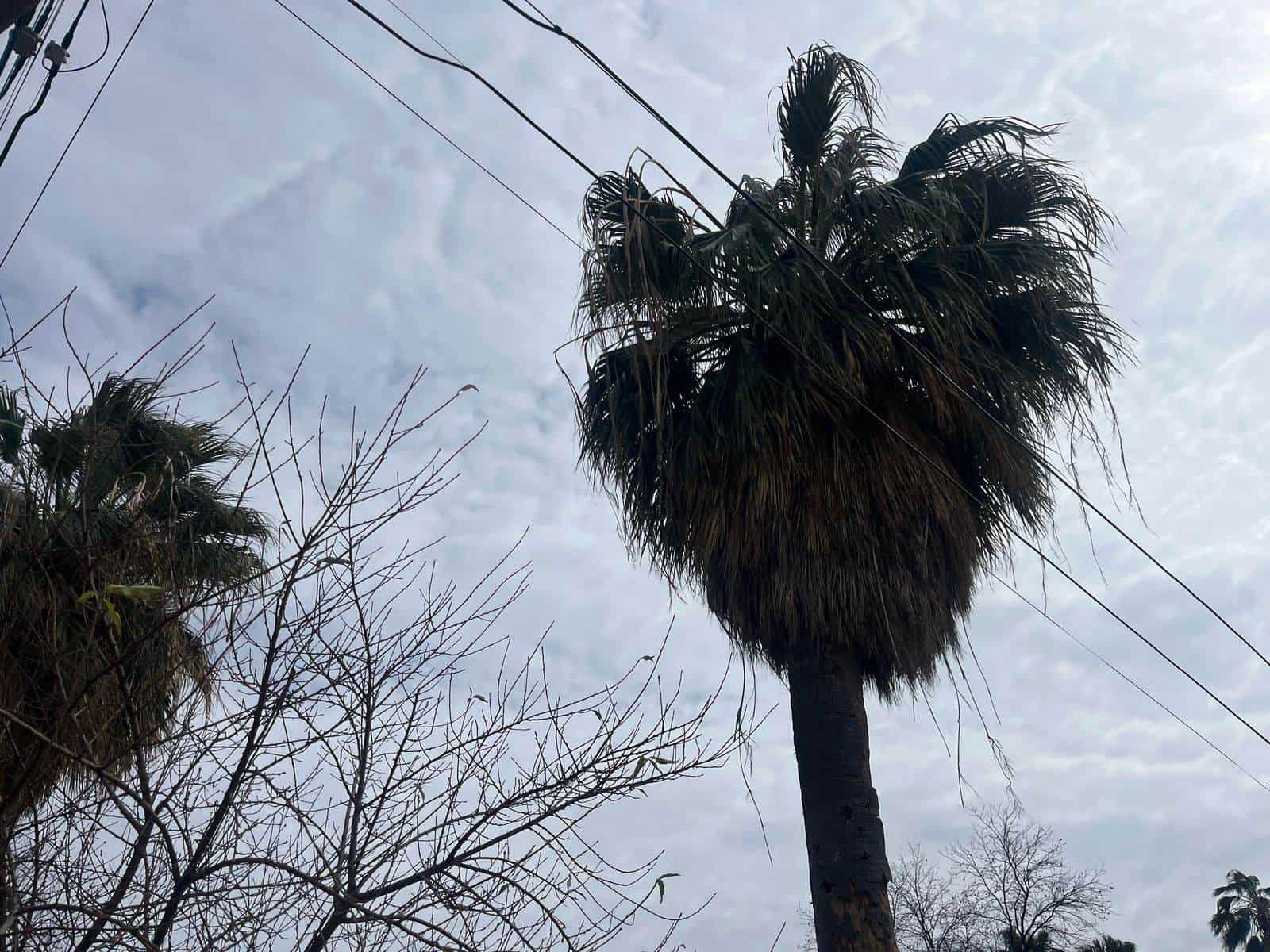 Frente frío número 28 provoca temperaturas extremas en Ciudad Acuña