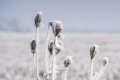 Vórtice polar: Ciudad de Estados Unidos estuvo más fría que Marte