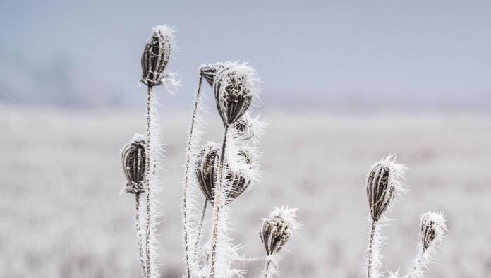 Vórtice polar: Ciudad de Estados Unidos estuvo más fría que Marte