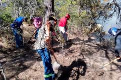 Incendio en Los Lirios consumió una hectárea