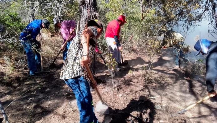 Incendio en Los Lirios consumió una hectárea