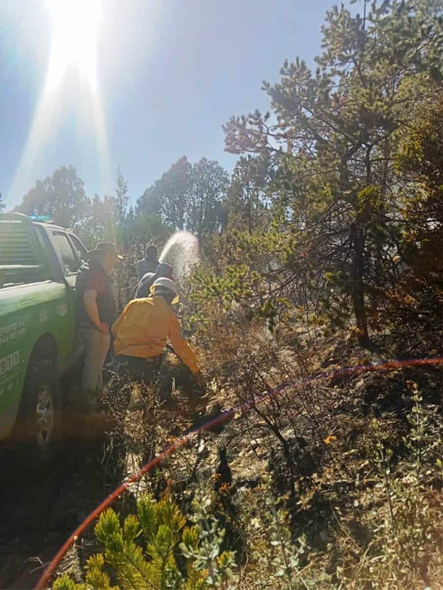 Incendio en Los Lirios consumió una hectárea