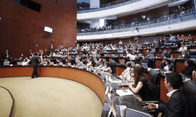 Senado aprueba ley anti nepotismo; Pero aplica hasta el 2030