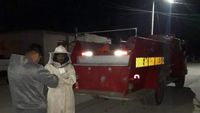 Atienden reporte de enjambre de abejas en la colonia San Tito