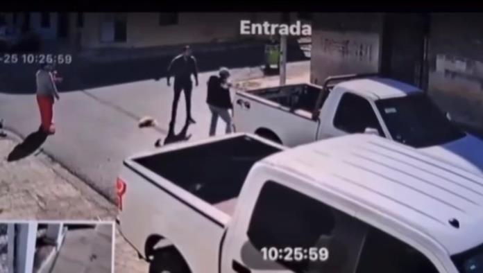 La violencia no se justifica": Activista condena maltrato animal en Coahuila