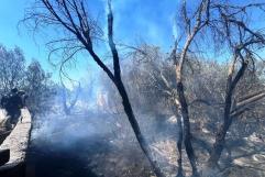 Incendian arroyo en "la Del Valle"