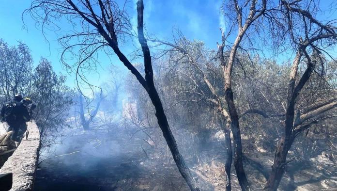 Incendian arroyo en "la Del Valle"