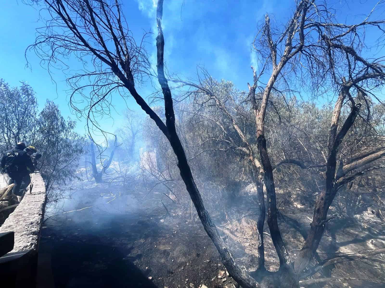 Incendian arroyo en "la Del Valle"