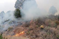 Registra la sierra 5 conatos de incendio