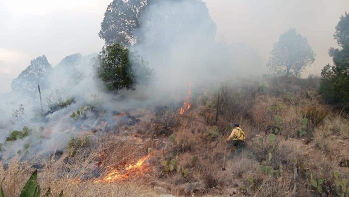 Registra la sierra 5 conatos de incendio