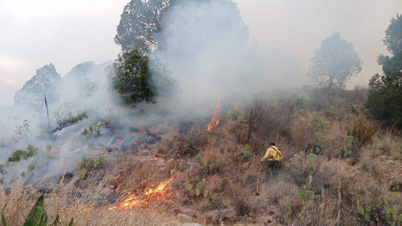 Registra la sierra 5 conatos de incendio