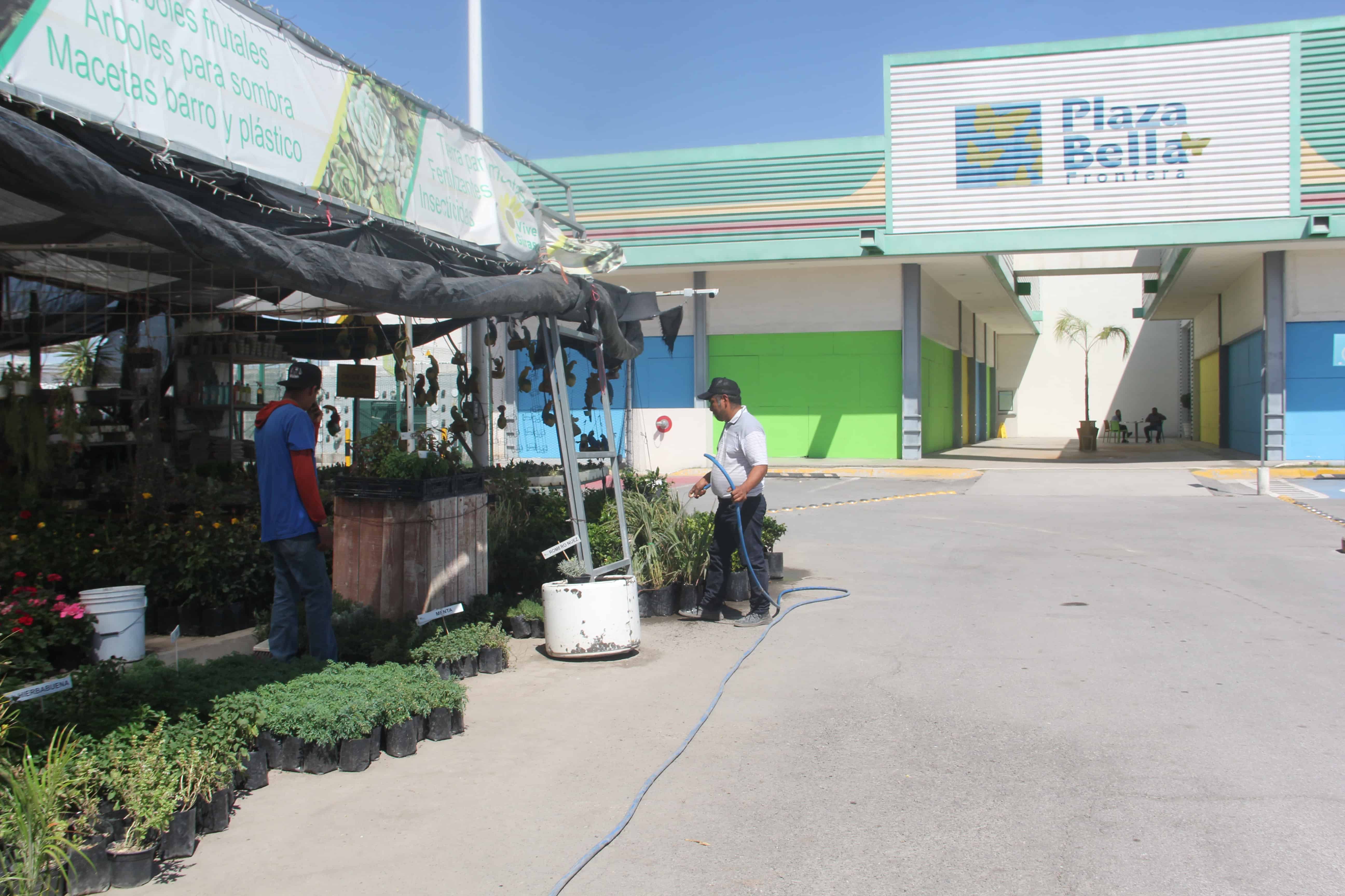 El Vivero Girasoles tiene años instalados en el estacionamiento de Bodega Aurrera.