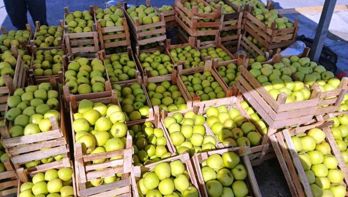 Es Arteaga líder en producir manzana