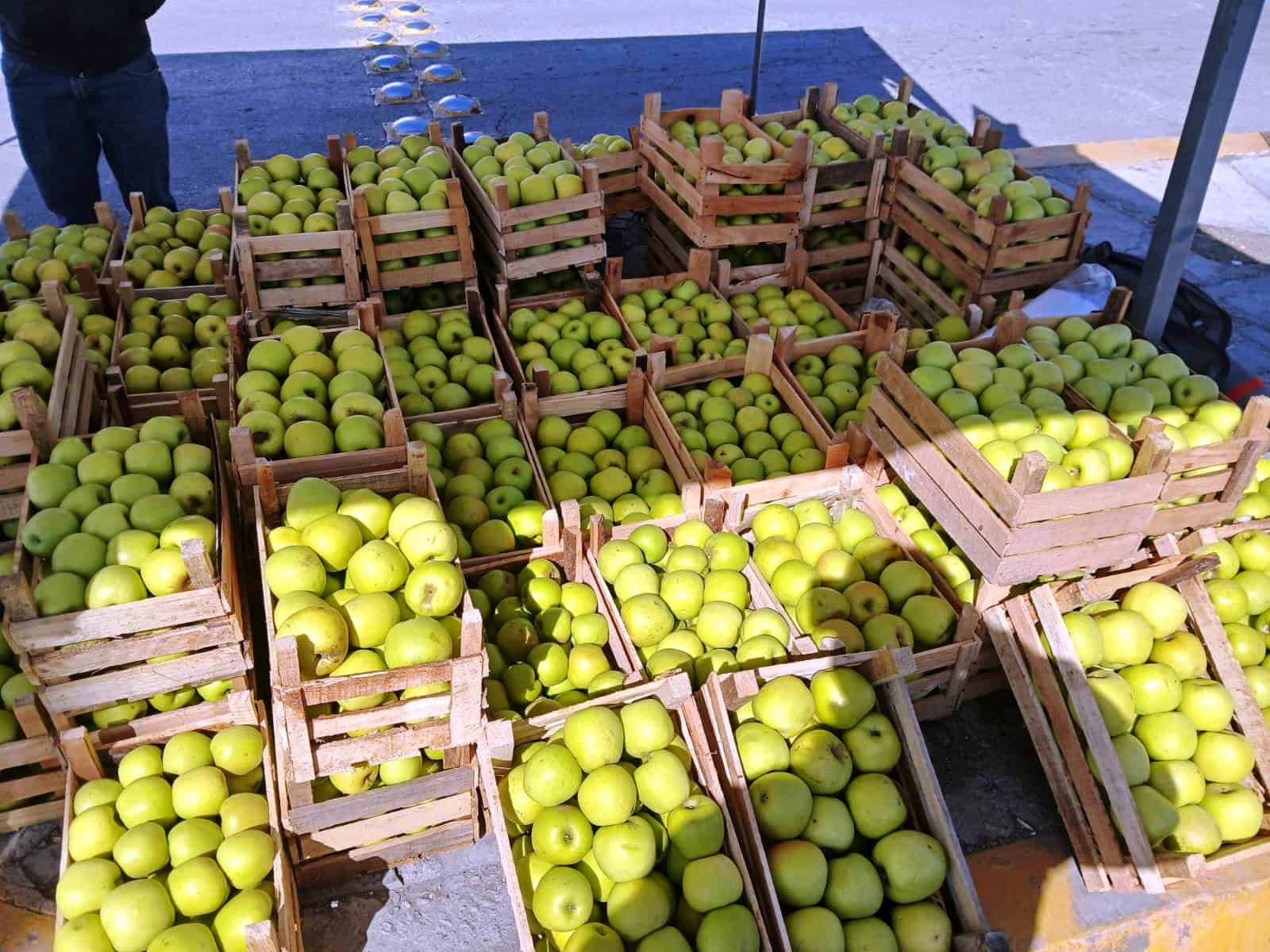 Es Arteaga líder en producir manzana