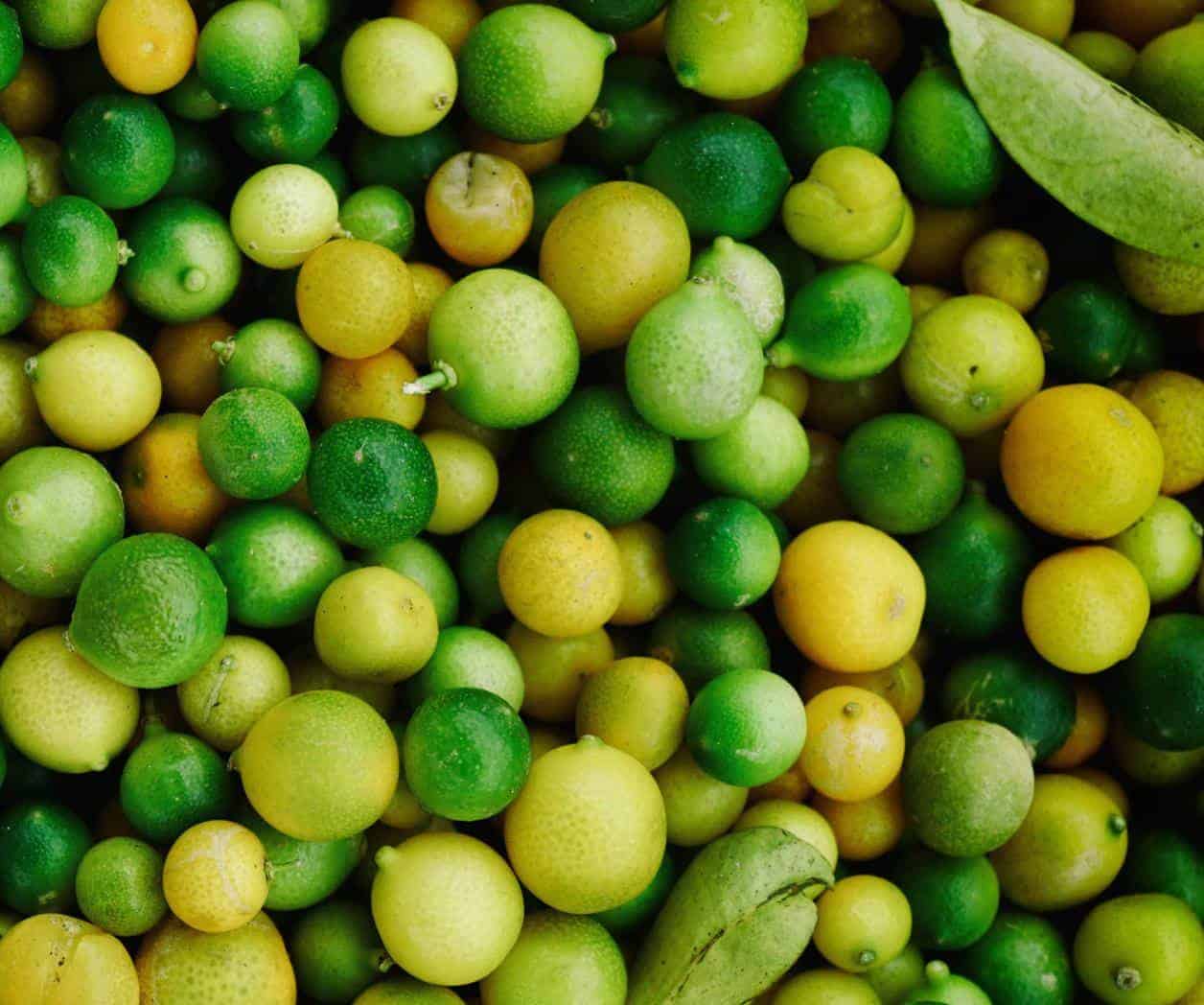 Trump anuncia aranceles contra productos agrícolas