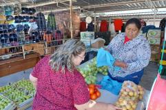 Participará Arteaga en VII Congreso Manzanero