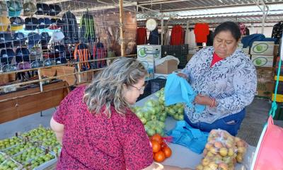 Participará Arteaga en VII Congreso Manzanero