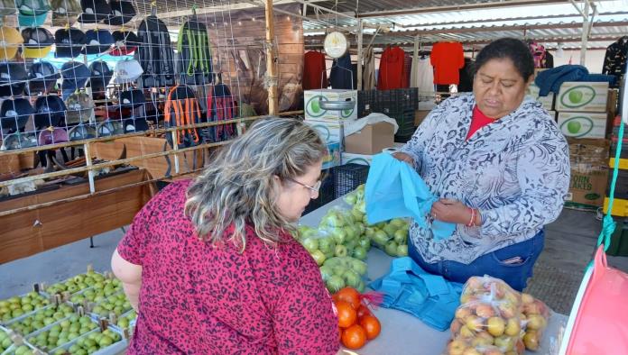Participará Arteaga en VII Congreso Manzanero
