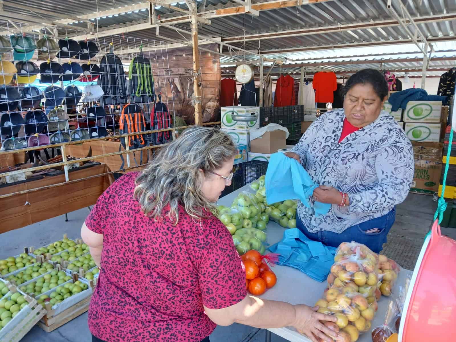 Participará Arteaga en VII Congreso Manzanero