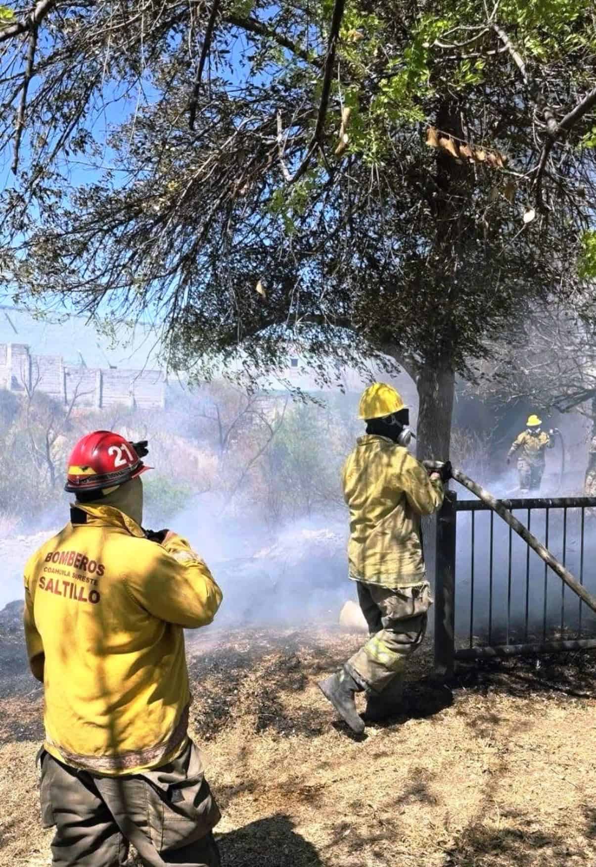 Arrasa fuego en Bosque Urbano