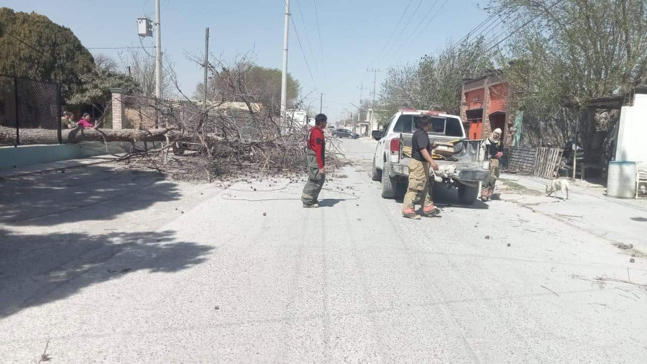 Fuertes vientos azotan la región de los Cinco Manantiales