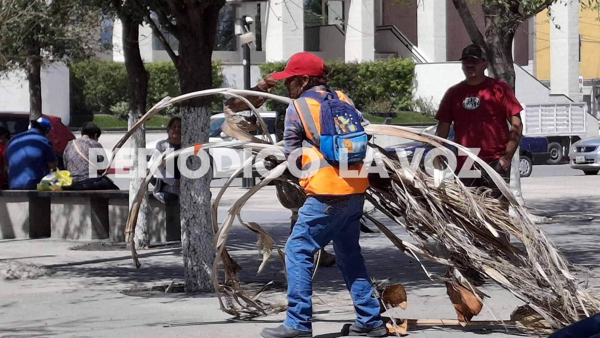 Provoca viento caos y muerte