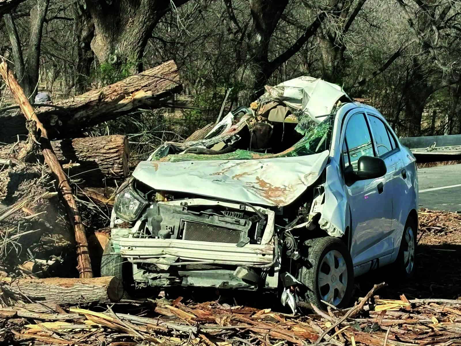 Aplasta árbol a fundador de Banda Kañon