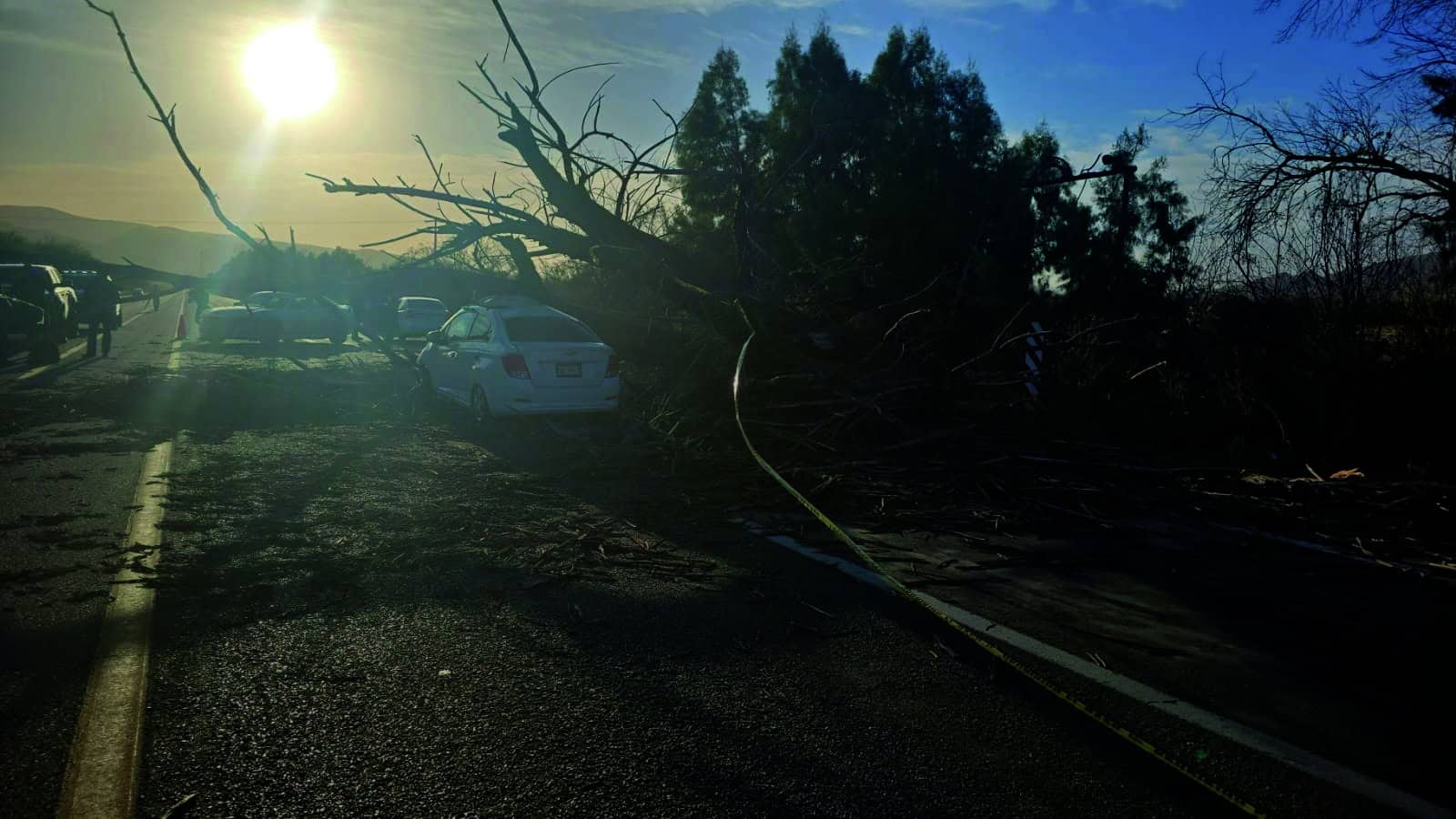 Aplasta árbol a fundador de Banda Kañon