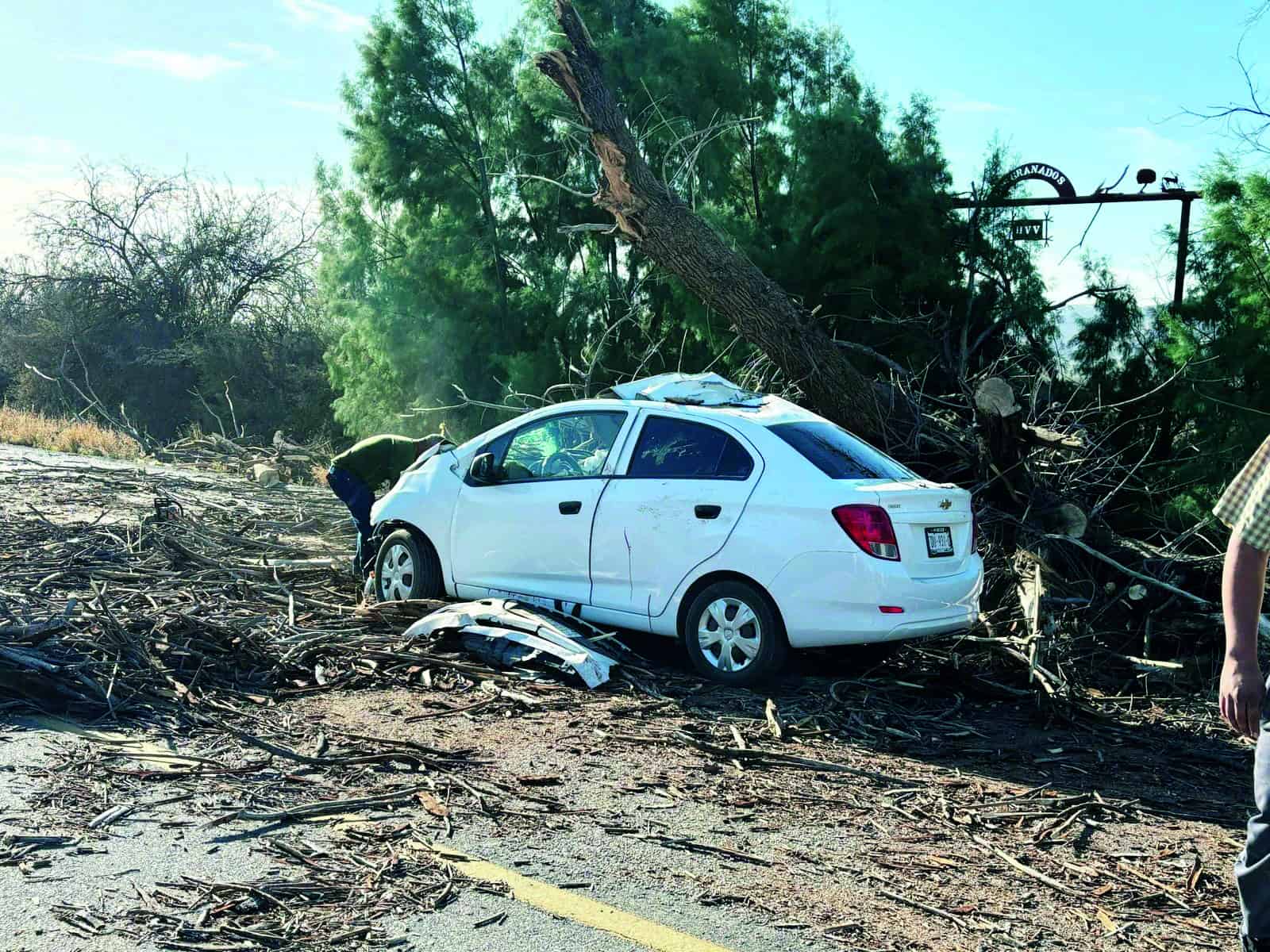 Aplasta árbol a fundador de Banda Kañon