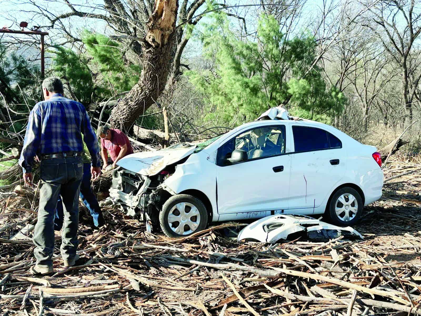 Aplasta árbol a fundador de Banda Kañon