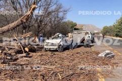 Provoca viento caos y muerte