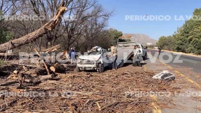 Provoca viento caos y muerte