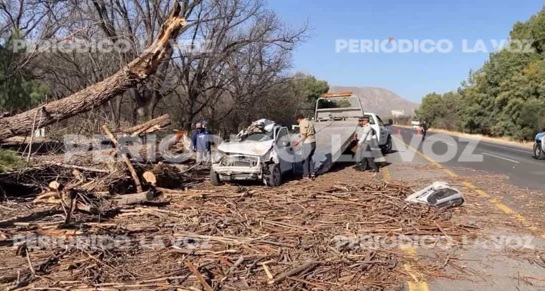 Provoca viento caos y muerte