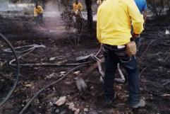 Controlan dos incendios en la sierra de Arteaga