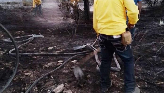 Controlan dos incendios en la sierra de Arteaga