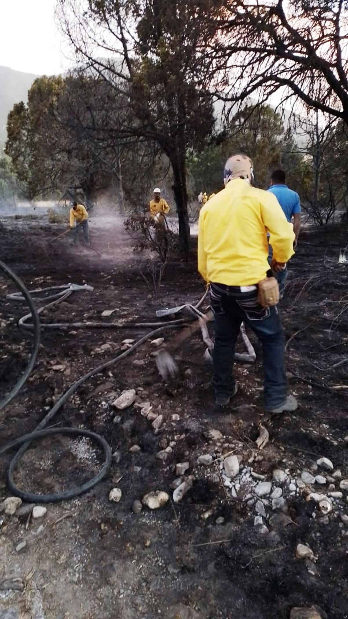 Controlan dos incendios en la sierra de Arteaga