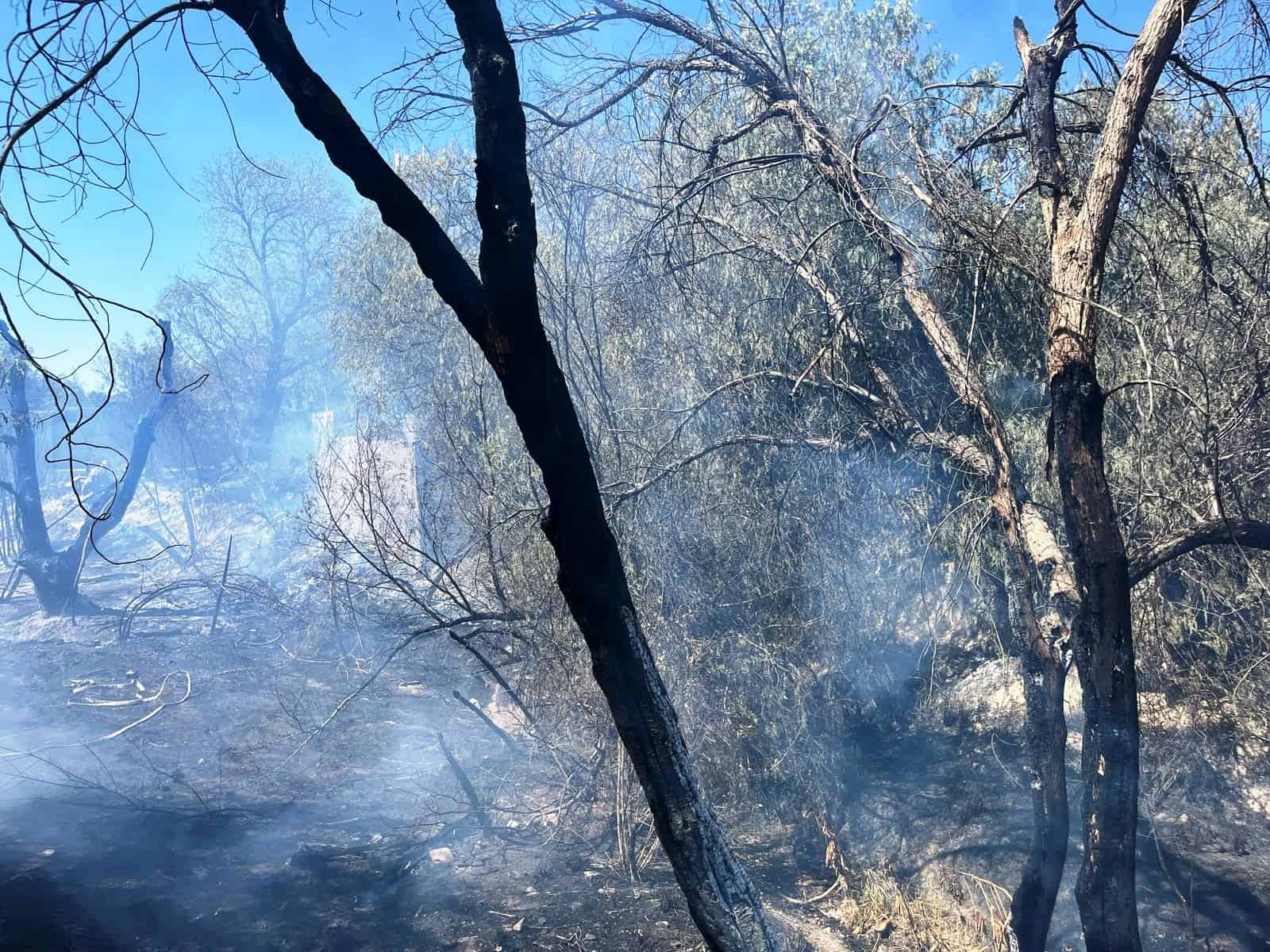 No es mala calidad del aire en Saltillo