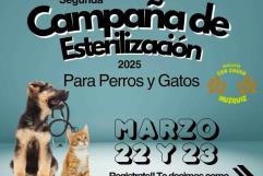 Podrían suspender esterilización canina