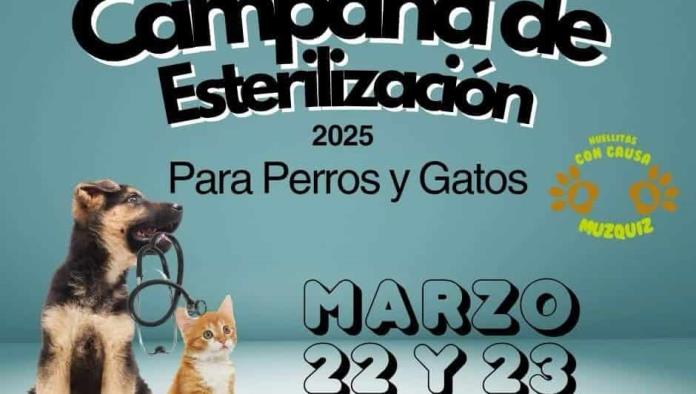 Podrían suspender esterilización canina