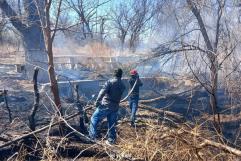 Se incendia la Nogalera de Castaños