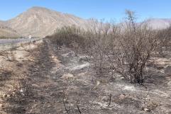 Consume incendio 10 hectáreas de pastizal